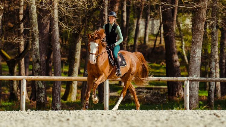 Ilona Mezzadri horse show jumper CSO