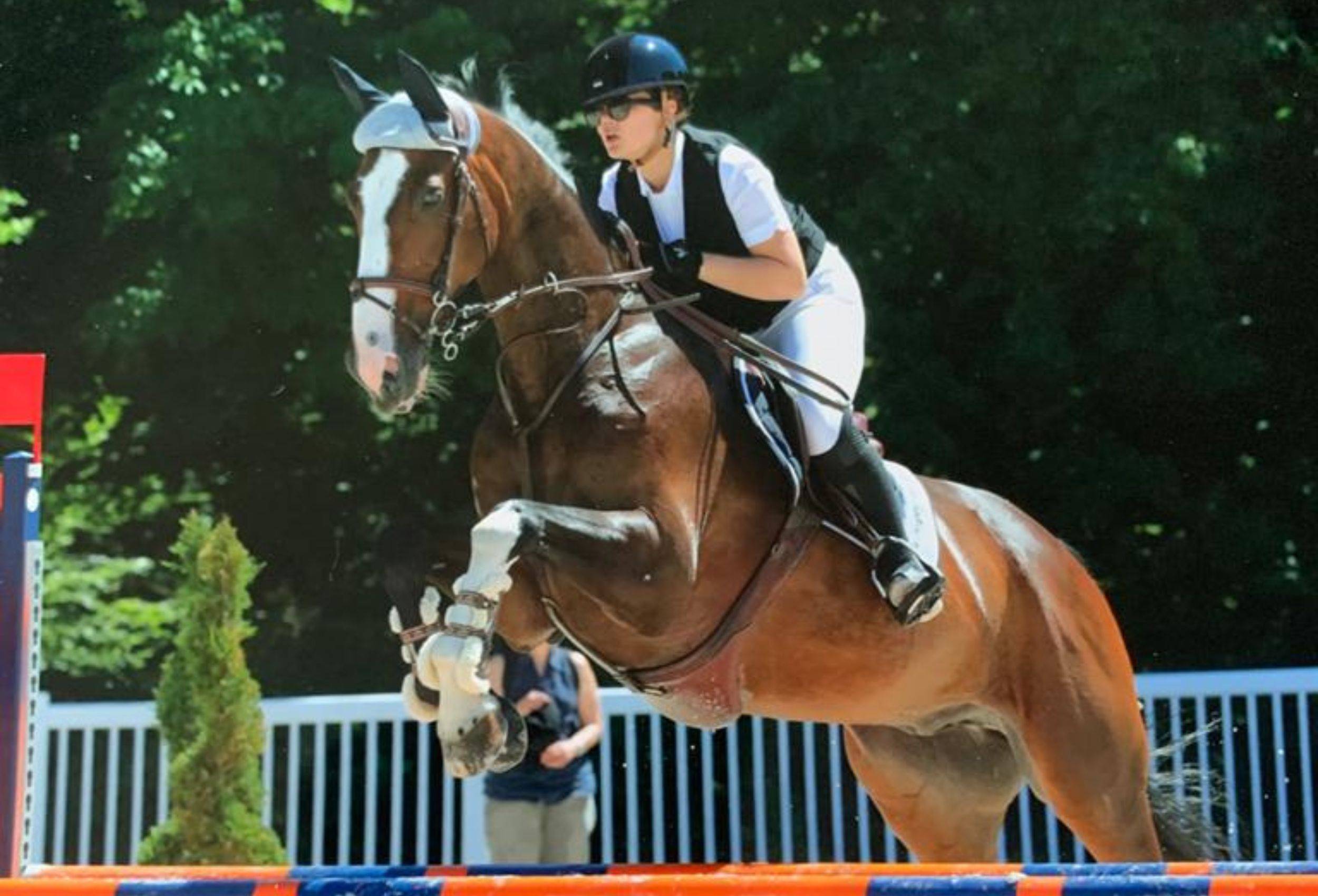 Ninon Forget, show jumping & disability
